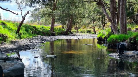 Millar Vale Creek Camping Innisfree