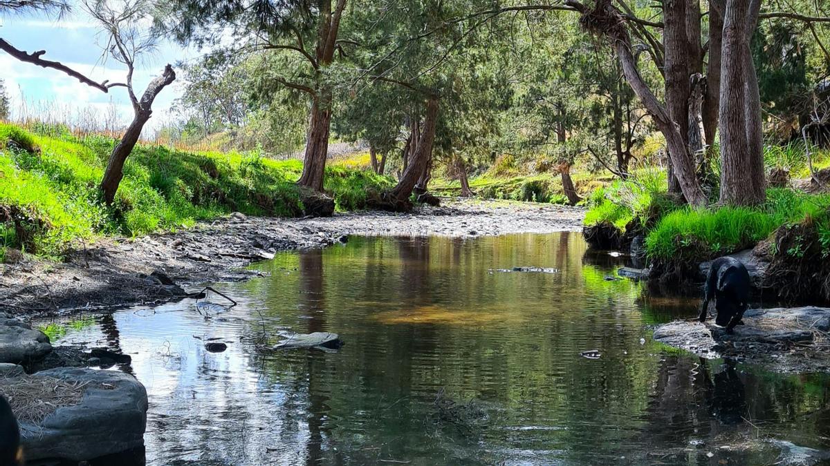 Millar Vale Creek Camping Innisfree
