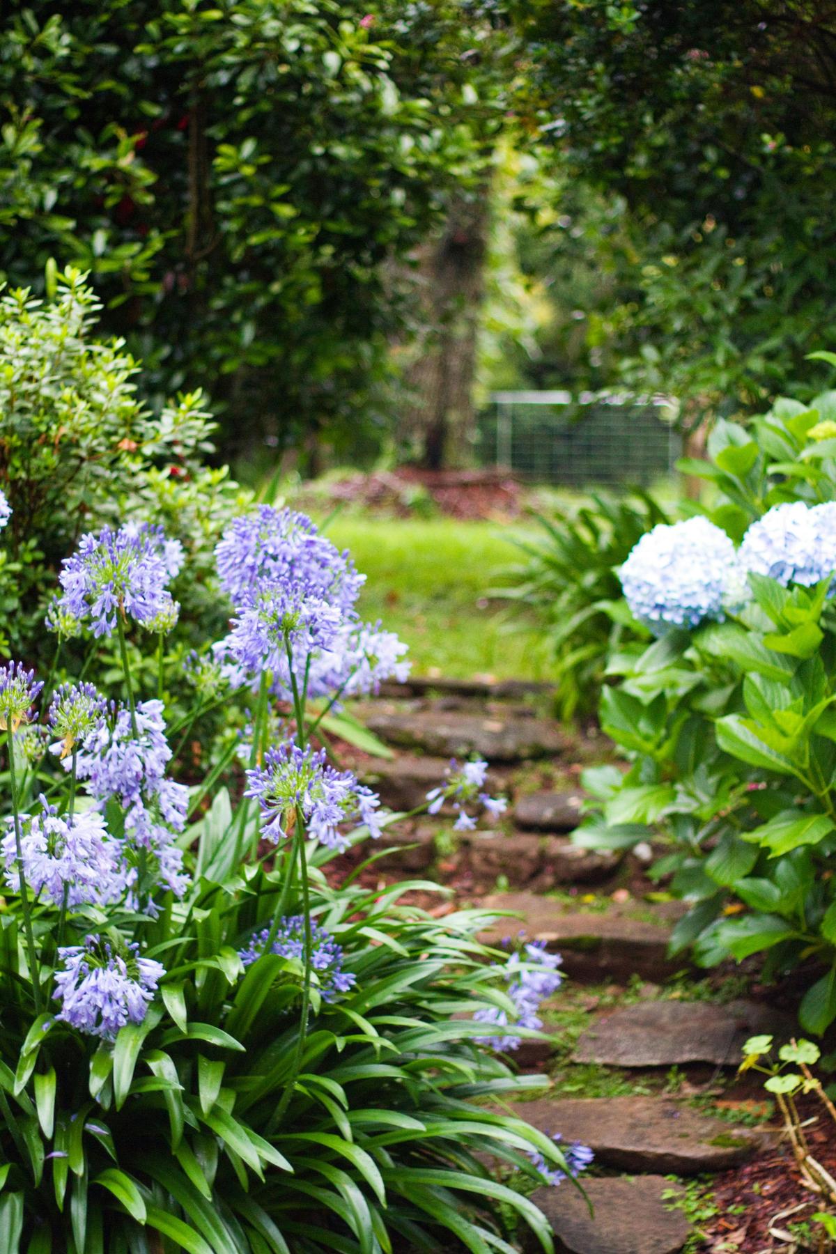 Rainforest Country Homestead