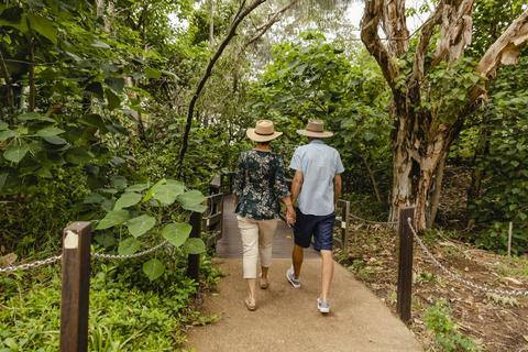 Mon Repos Walking Track