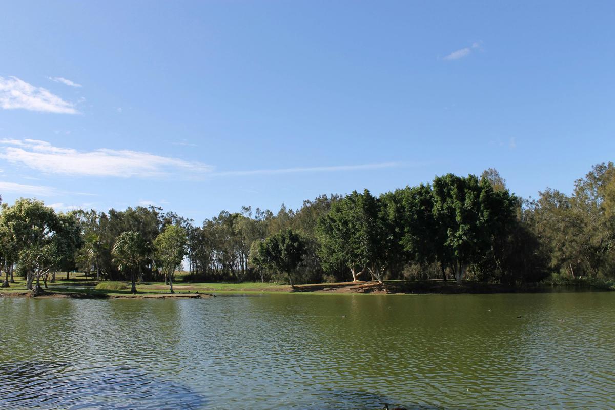 Moore Park Wetlands