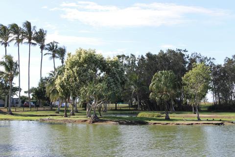 Moore Park Wetlands