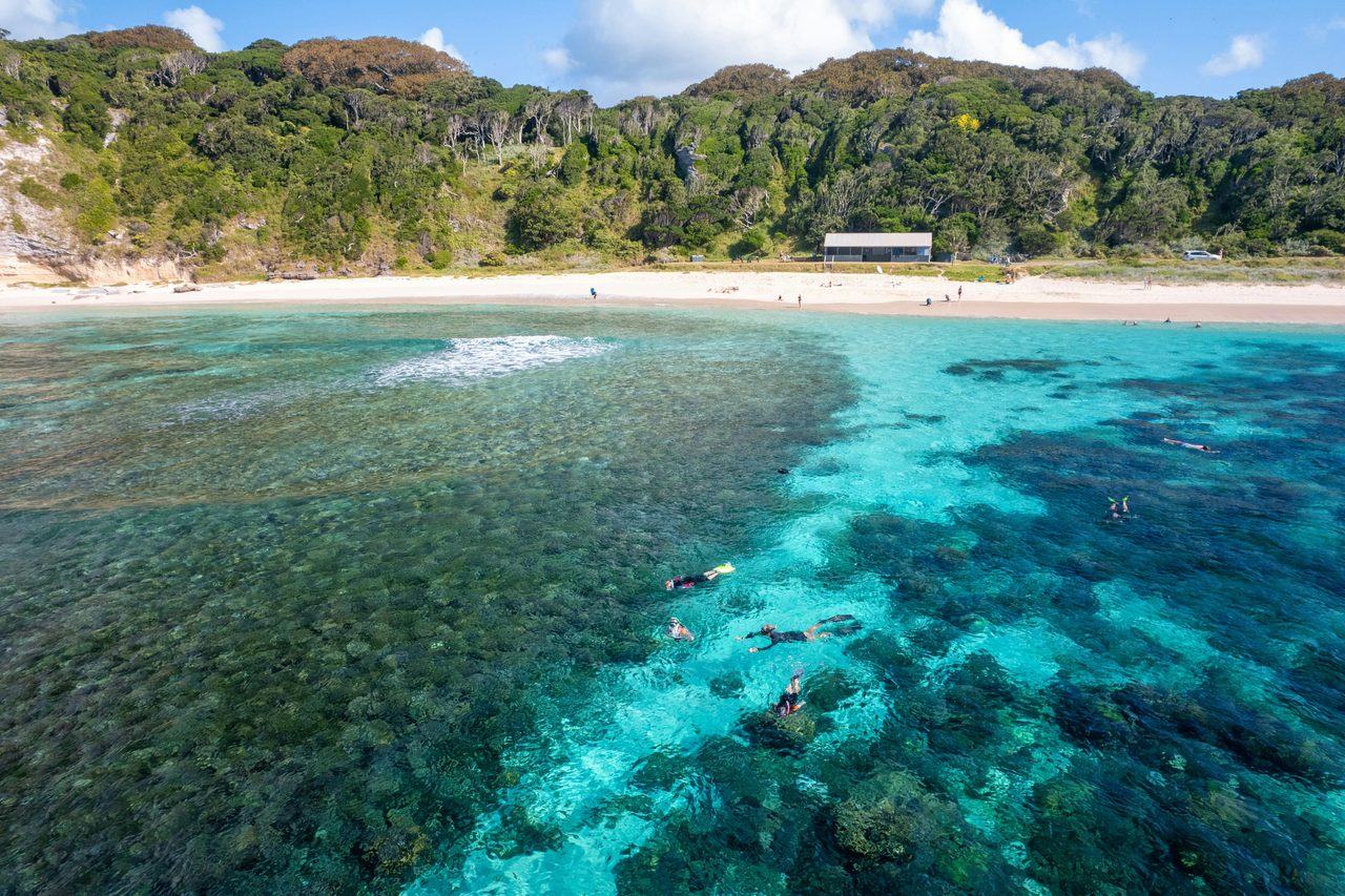 NedsBeach Snorkelling Spot