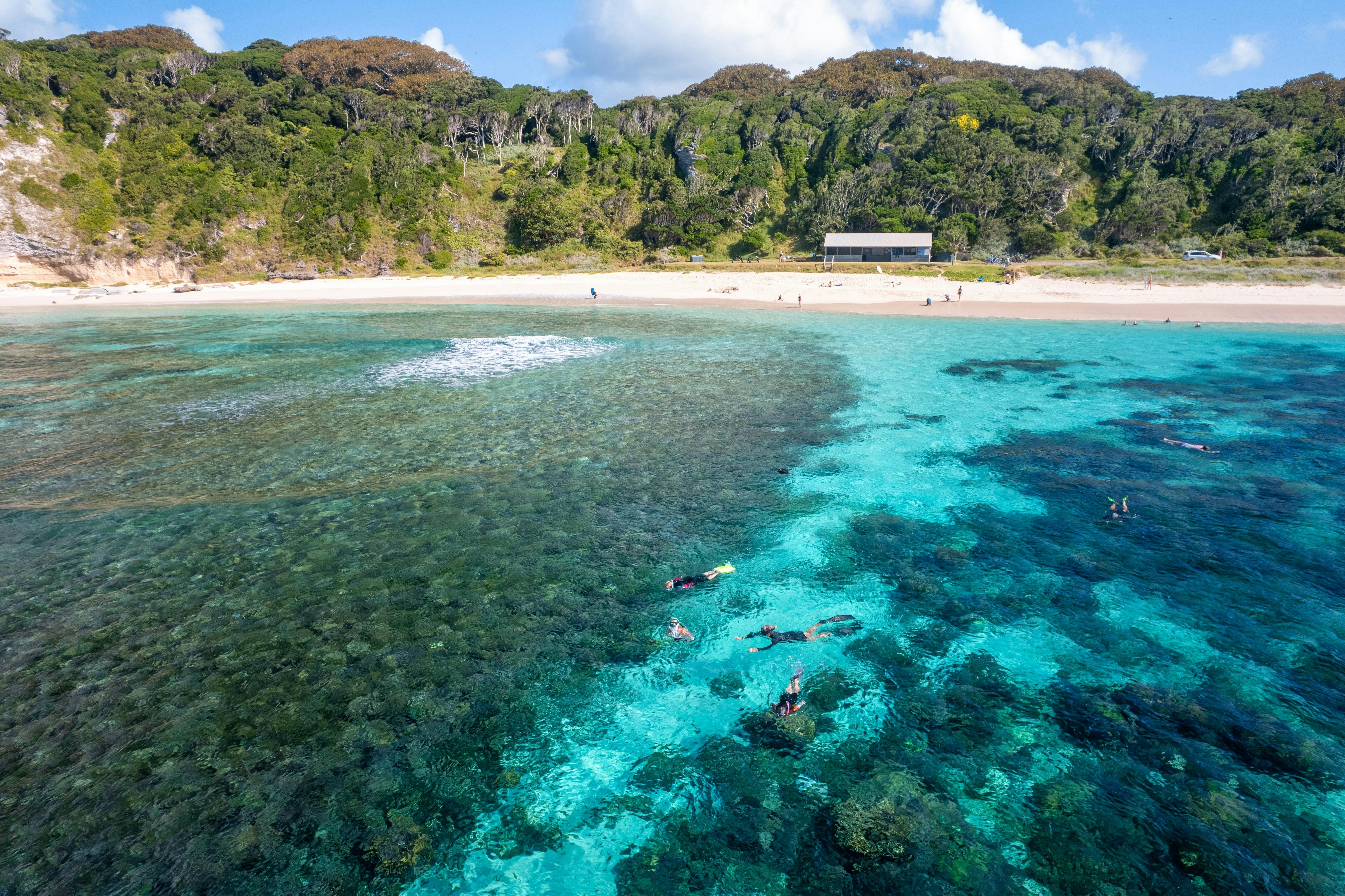 NedsBeach Snorkelling Spot