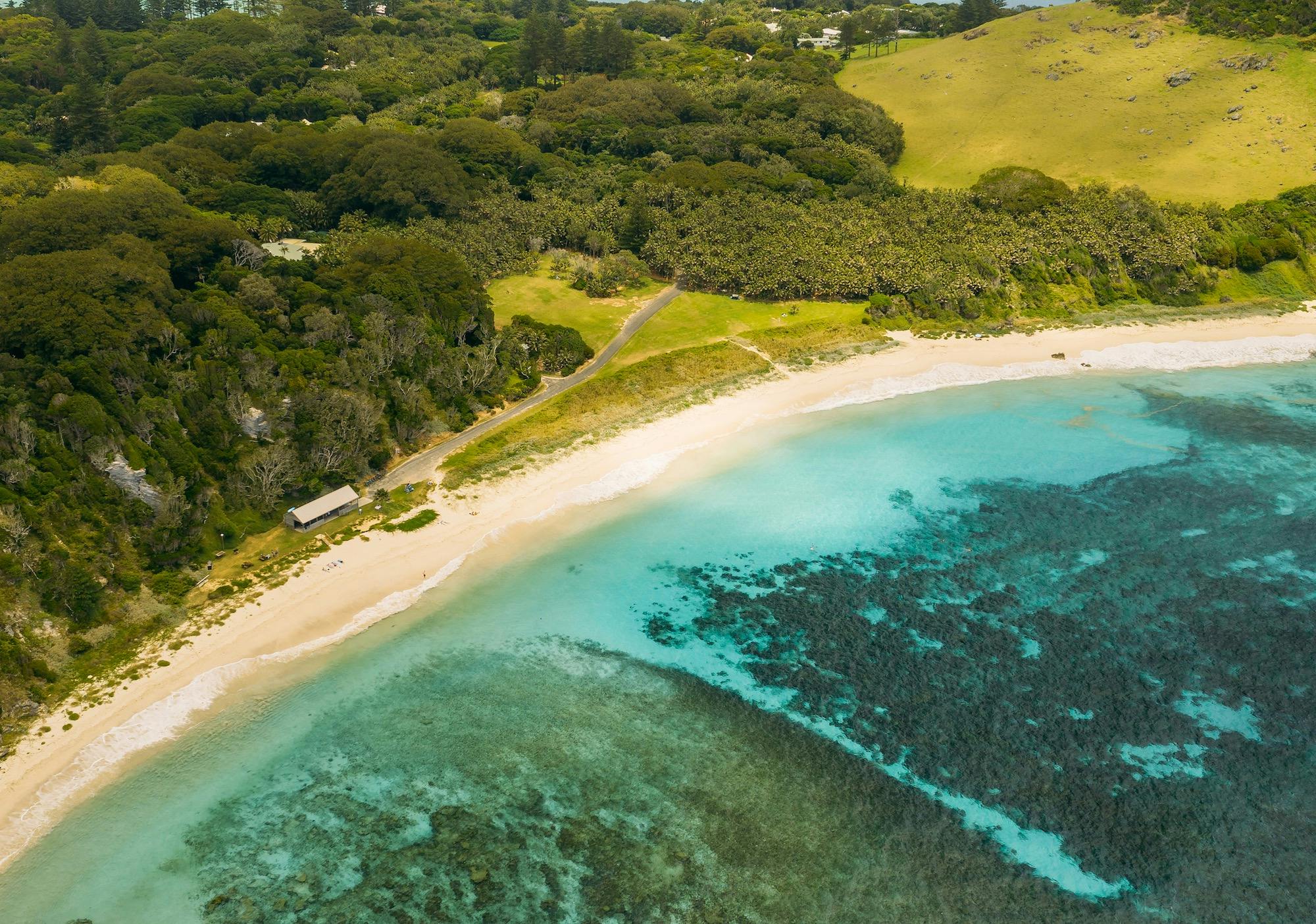 Neds Beach aerial