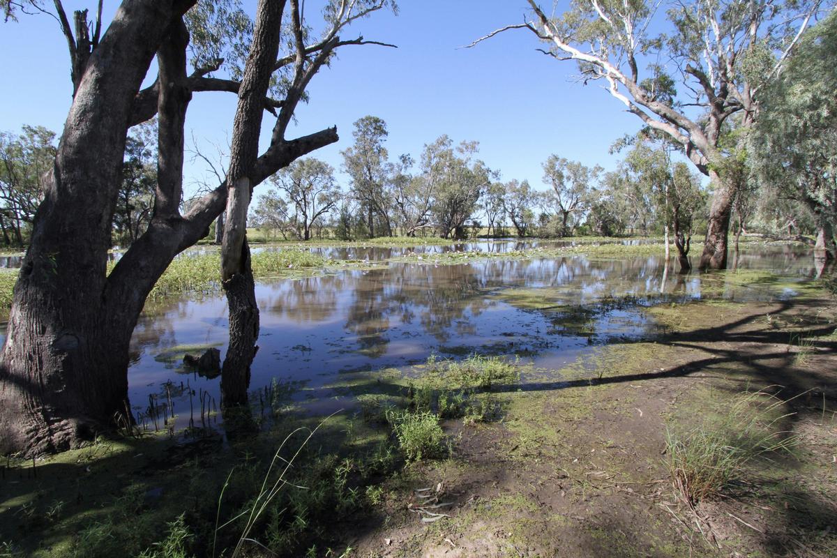 Caliguel Lagoon