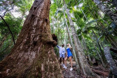 Mount Glorious