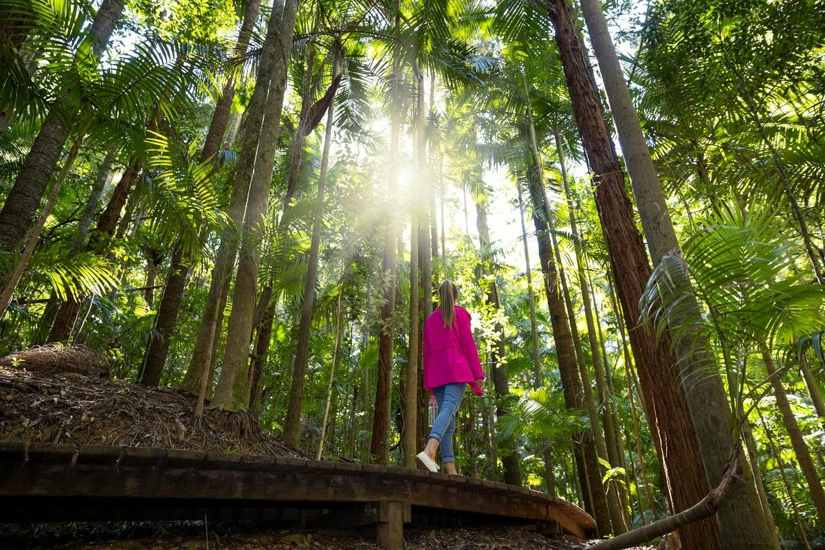 Wander the Greenes Falls Track in Maiala National Park