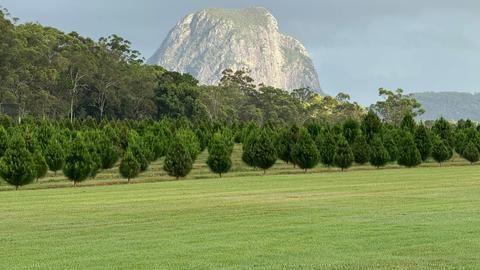 Mountain Country Farm Stay