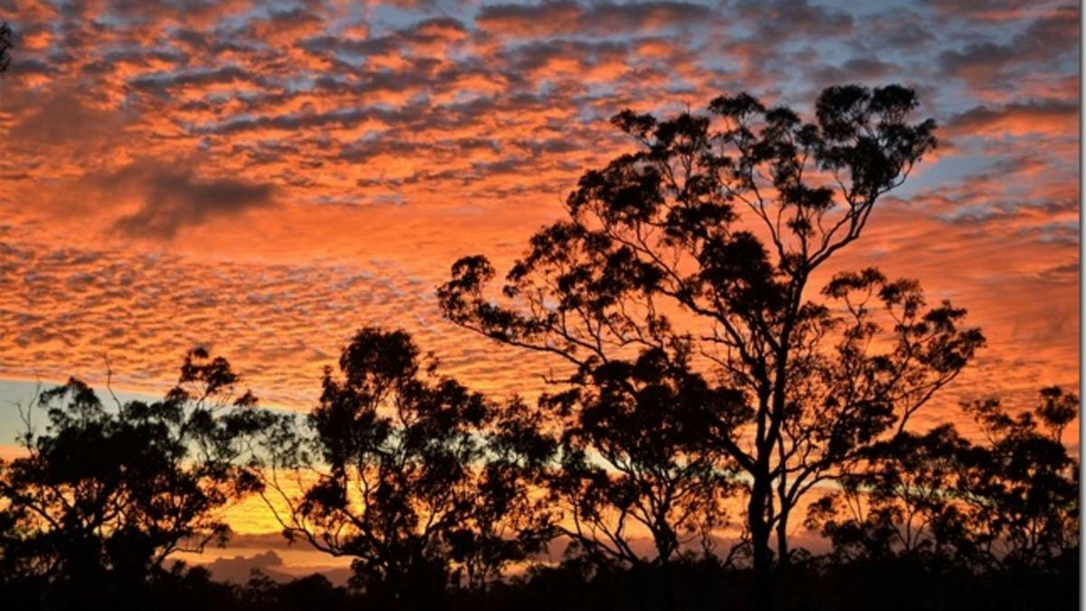 Mareeba Caravan Park