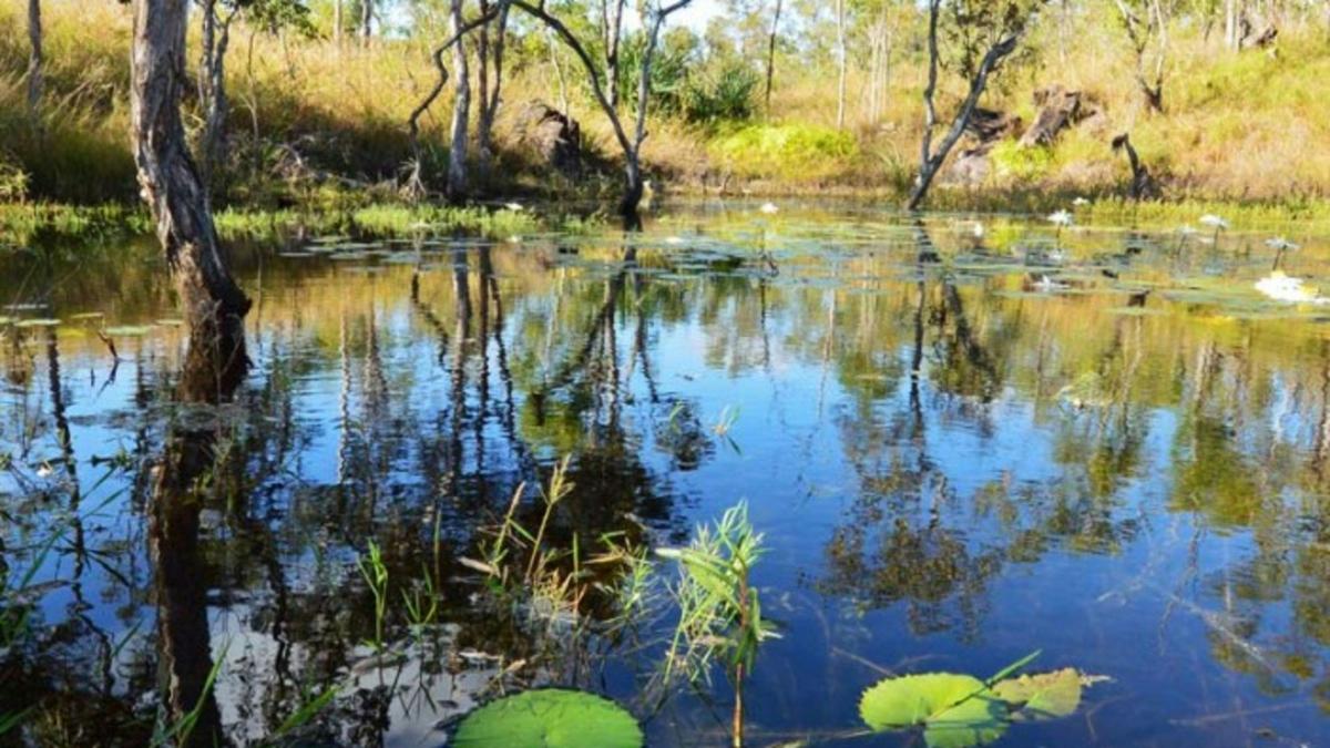Mareeba Caravan Park