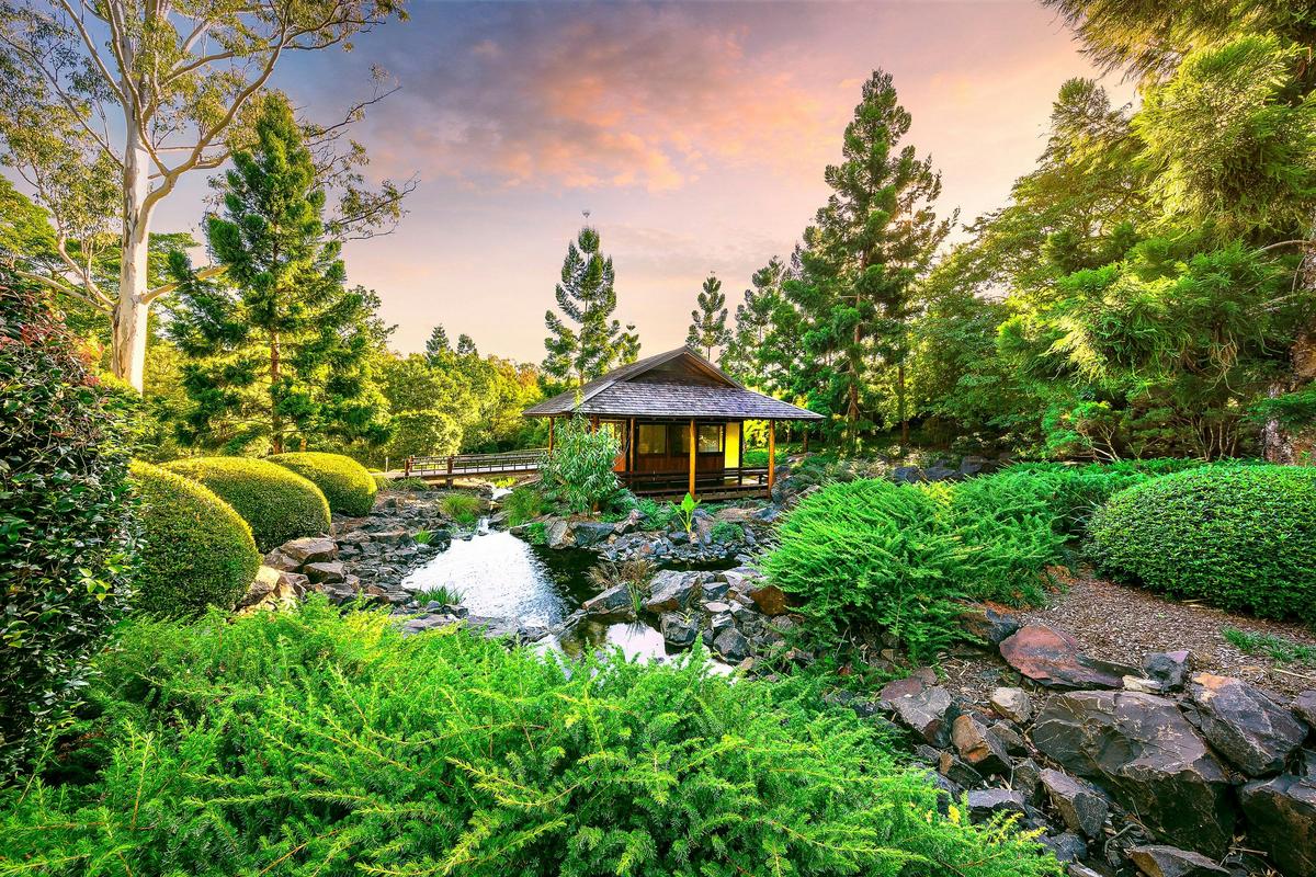 Nerima Gardens Japanese Tea Ceremony Experience