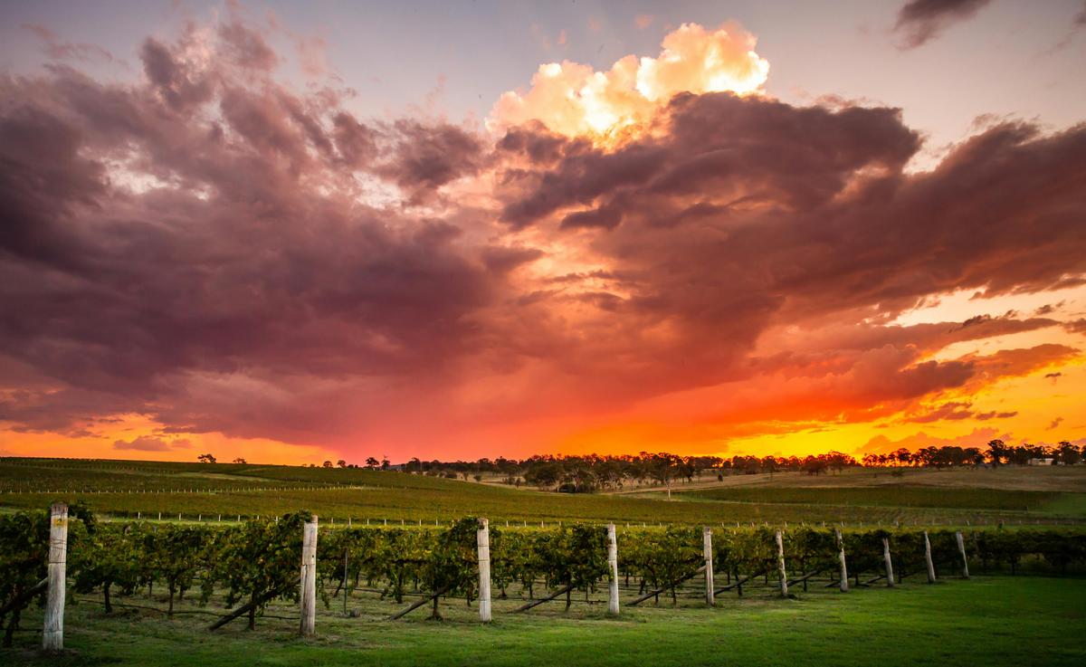 Moffatdale Winery