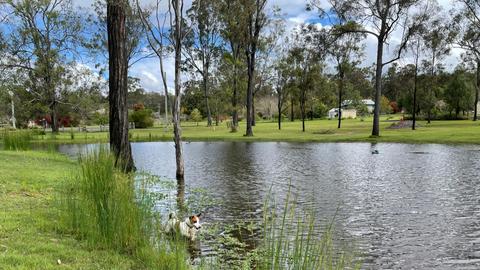 Moyle Manor Camping 001