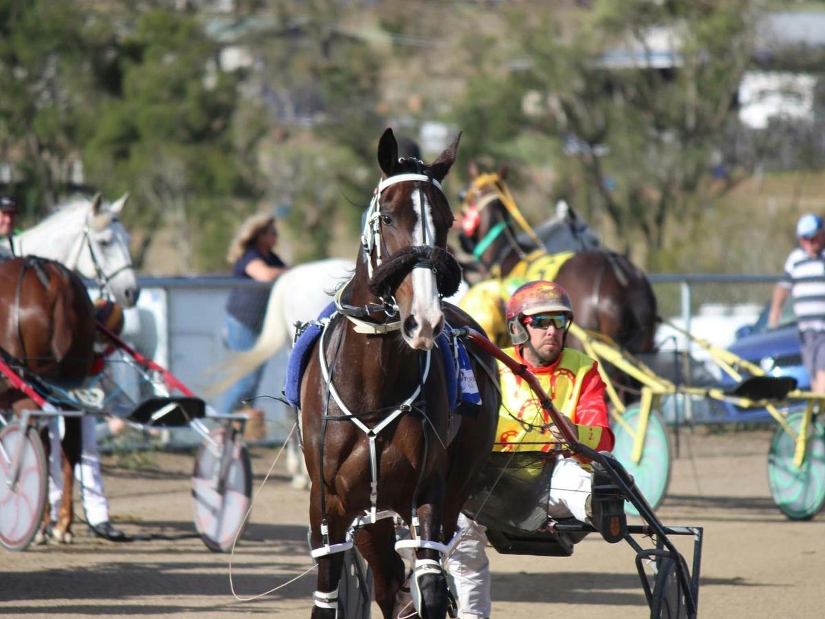 Marburg Harness Racing Association | Ipswich