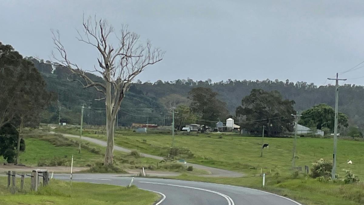 Moy Park Camping