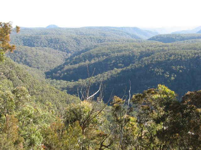 Nattai Gorge Lookout