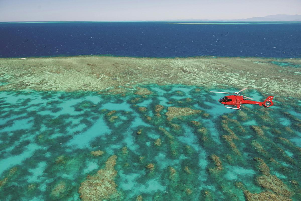 Port Douglas - 60 Minute Scenic – Reef and Rainforest