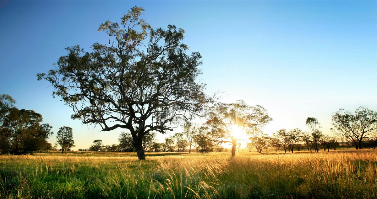 Sunset, Darling Downs