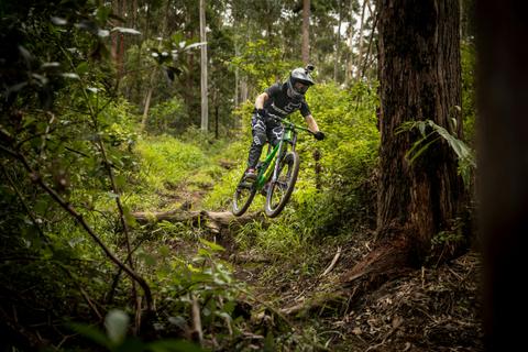 Mt Coramba Downhill