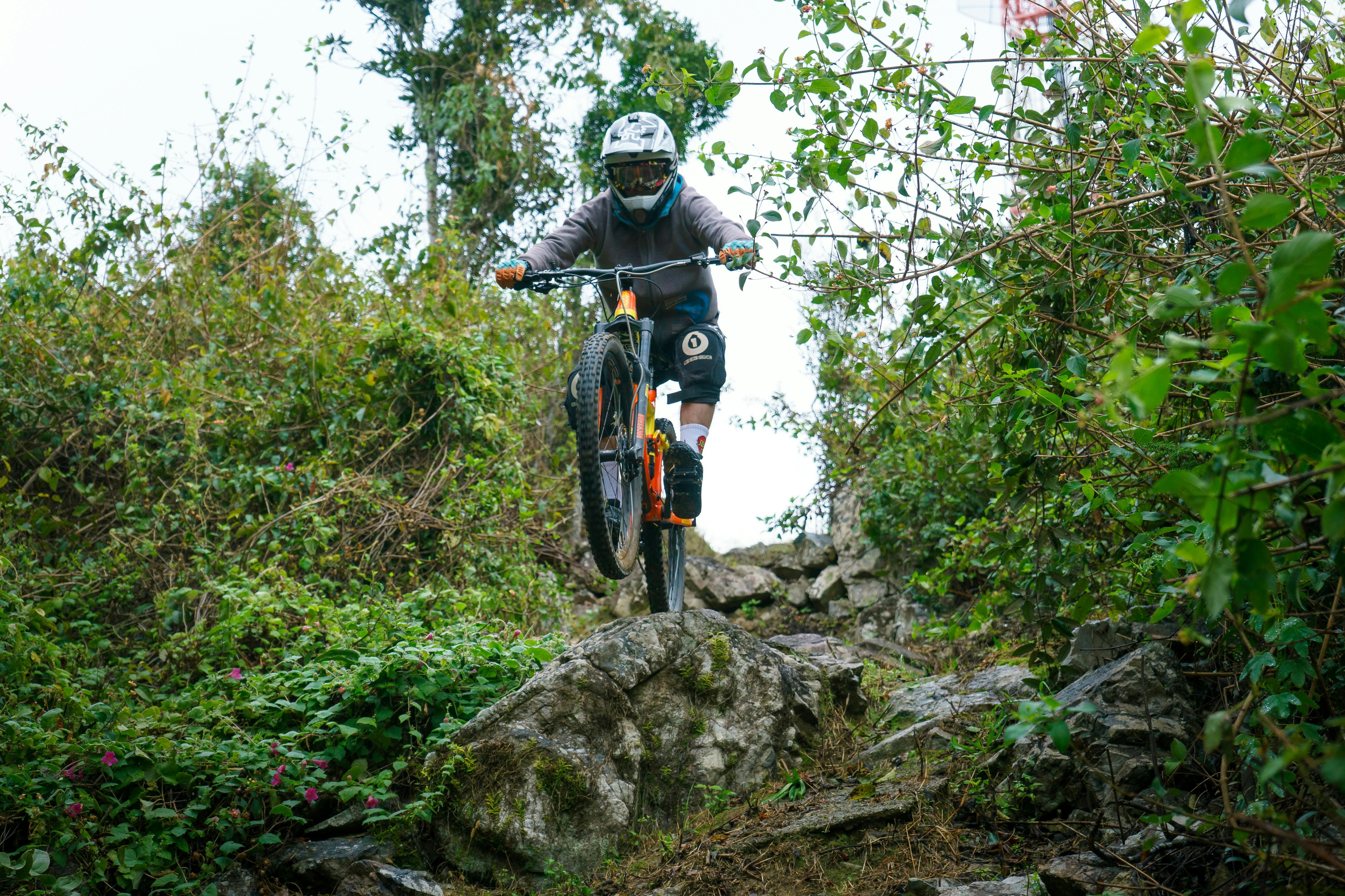 Mt Coramba Downhill