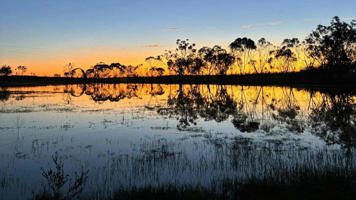 Myall Park Botanic Camp & Retreat
