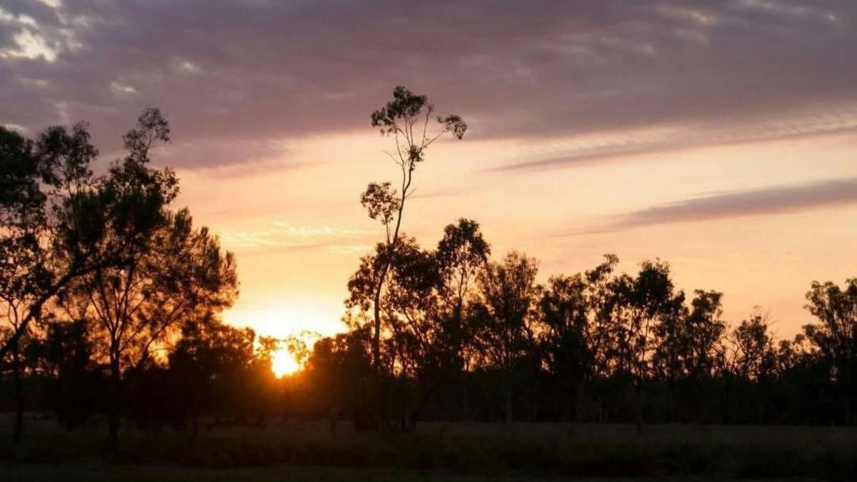 Myall Park Botanic Camp & Retreat
