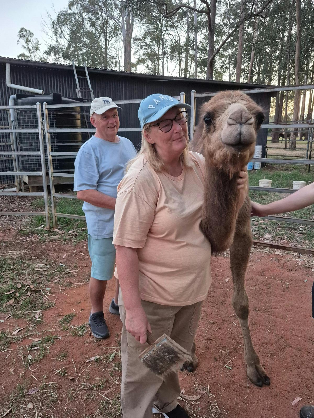 Mini Tails Private Sanctuary Tour