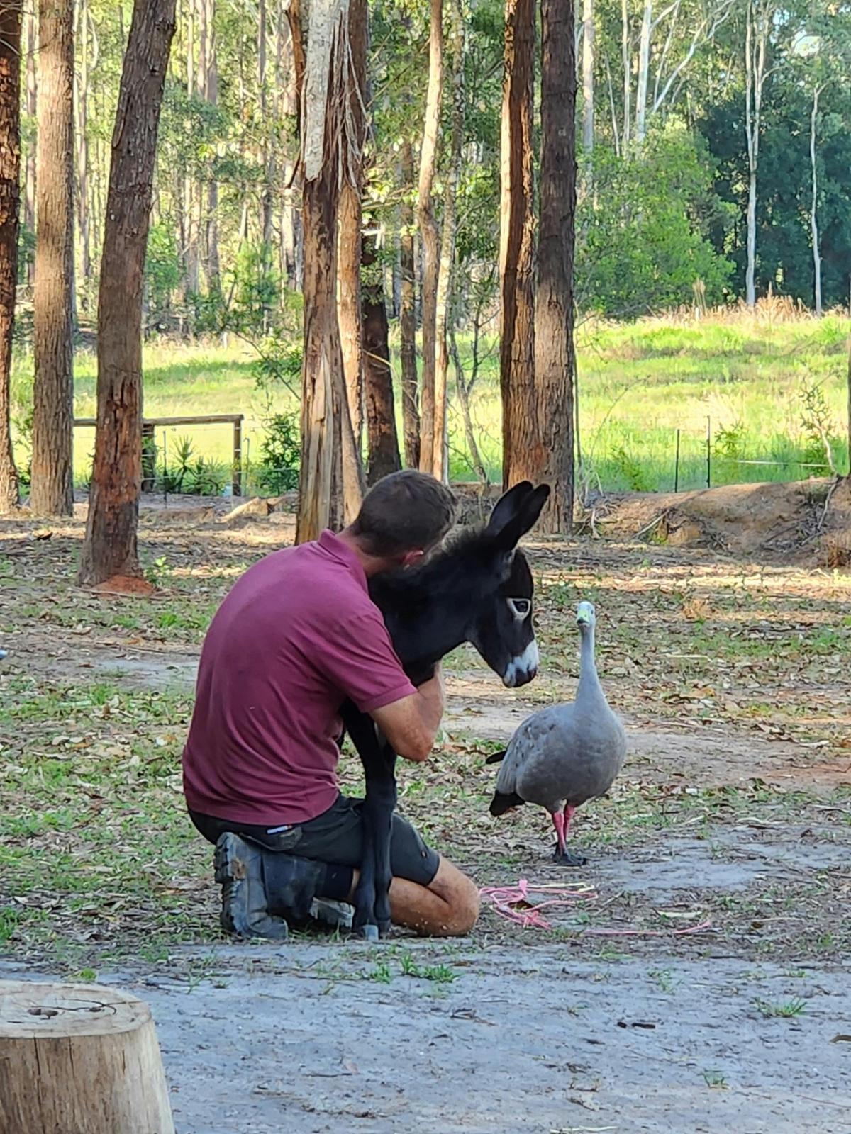 Mini Tails Private Sanctuary Tour