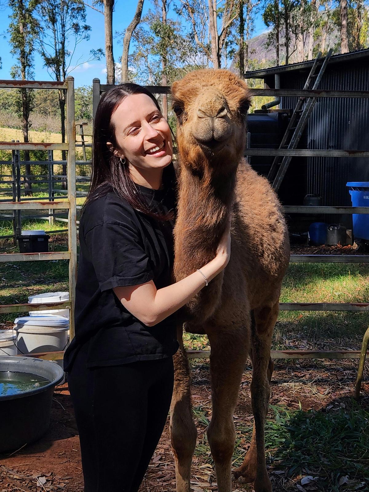 Camel cuddles