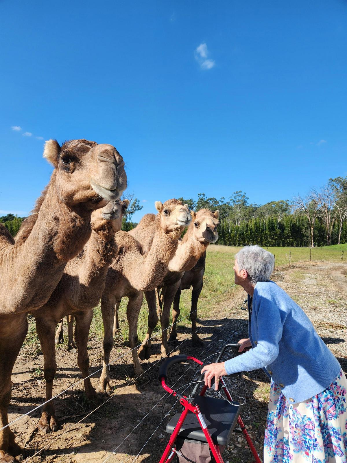 Mini Tails Private Sanctuary Tour