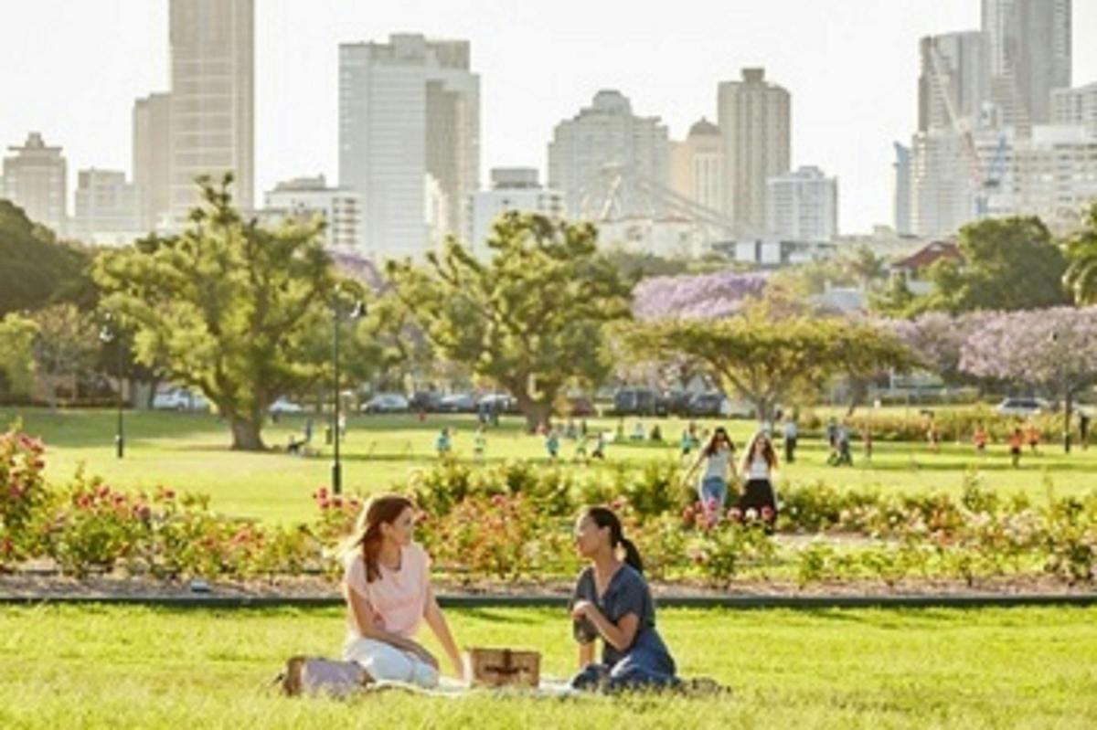 New Farm Picnic