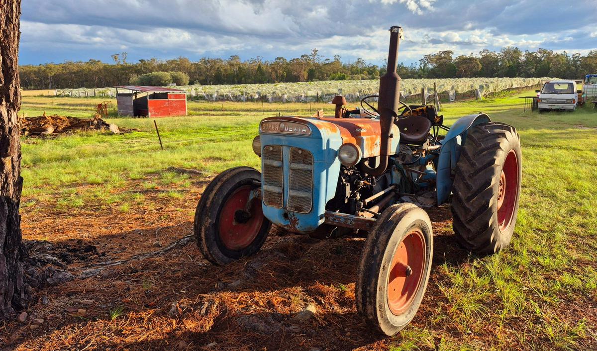 Mountview Wines vineyard and old tractor