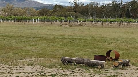 Mountview Wines unpowered Camping sites