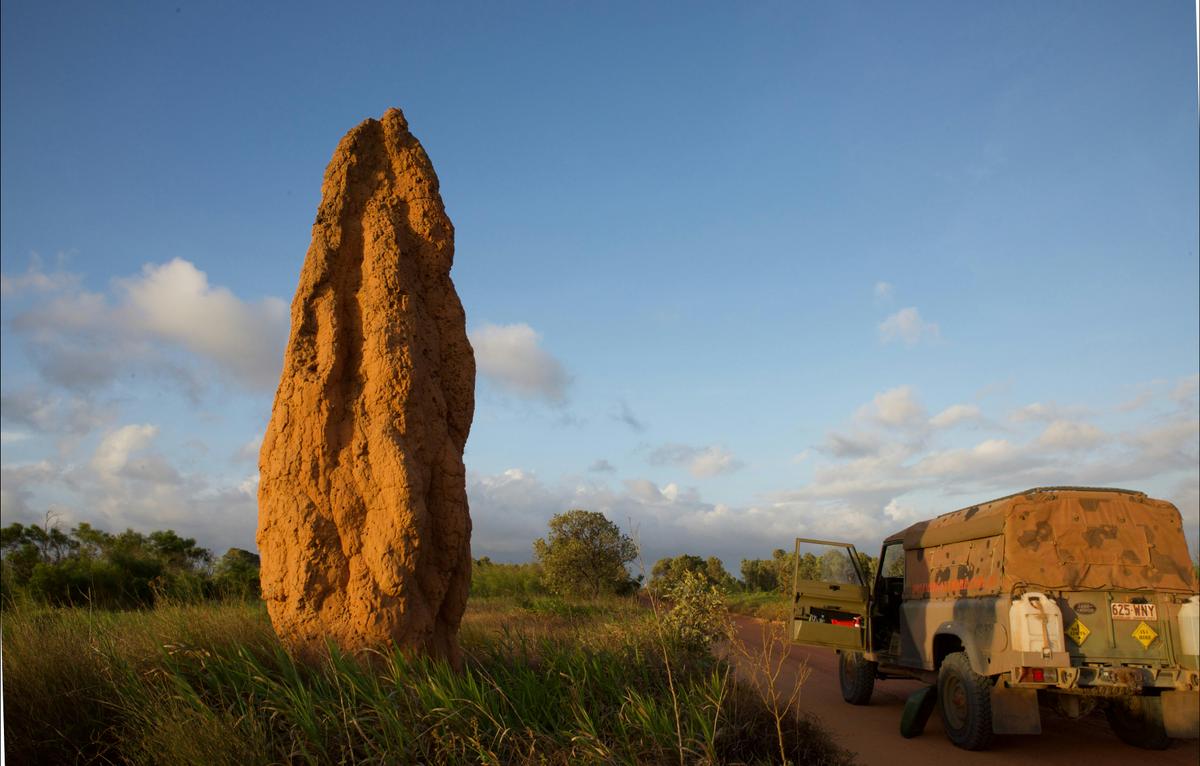 Custom/Personalised Tours