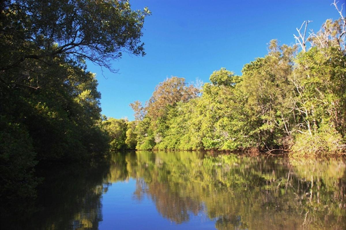 Mooloolah River