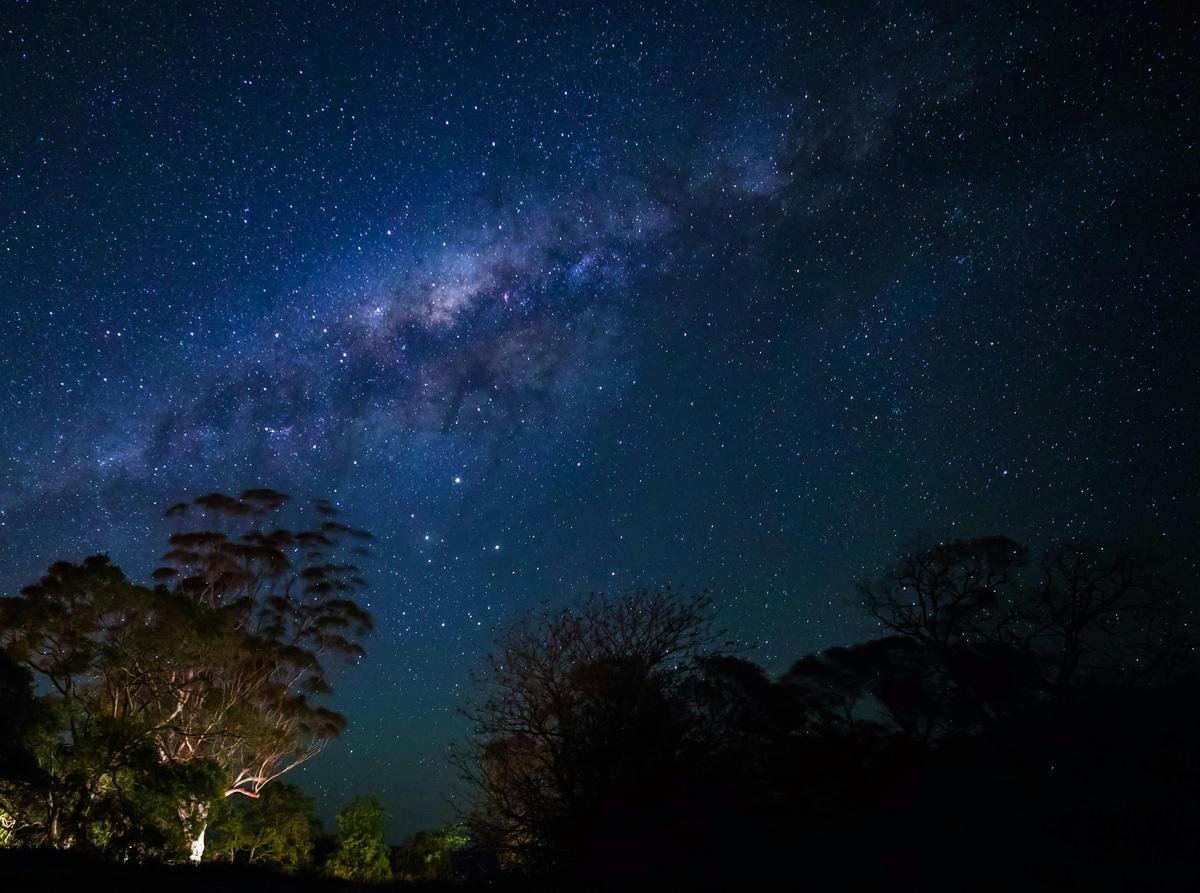 Night Sky Journey
