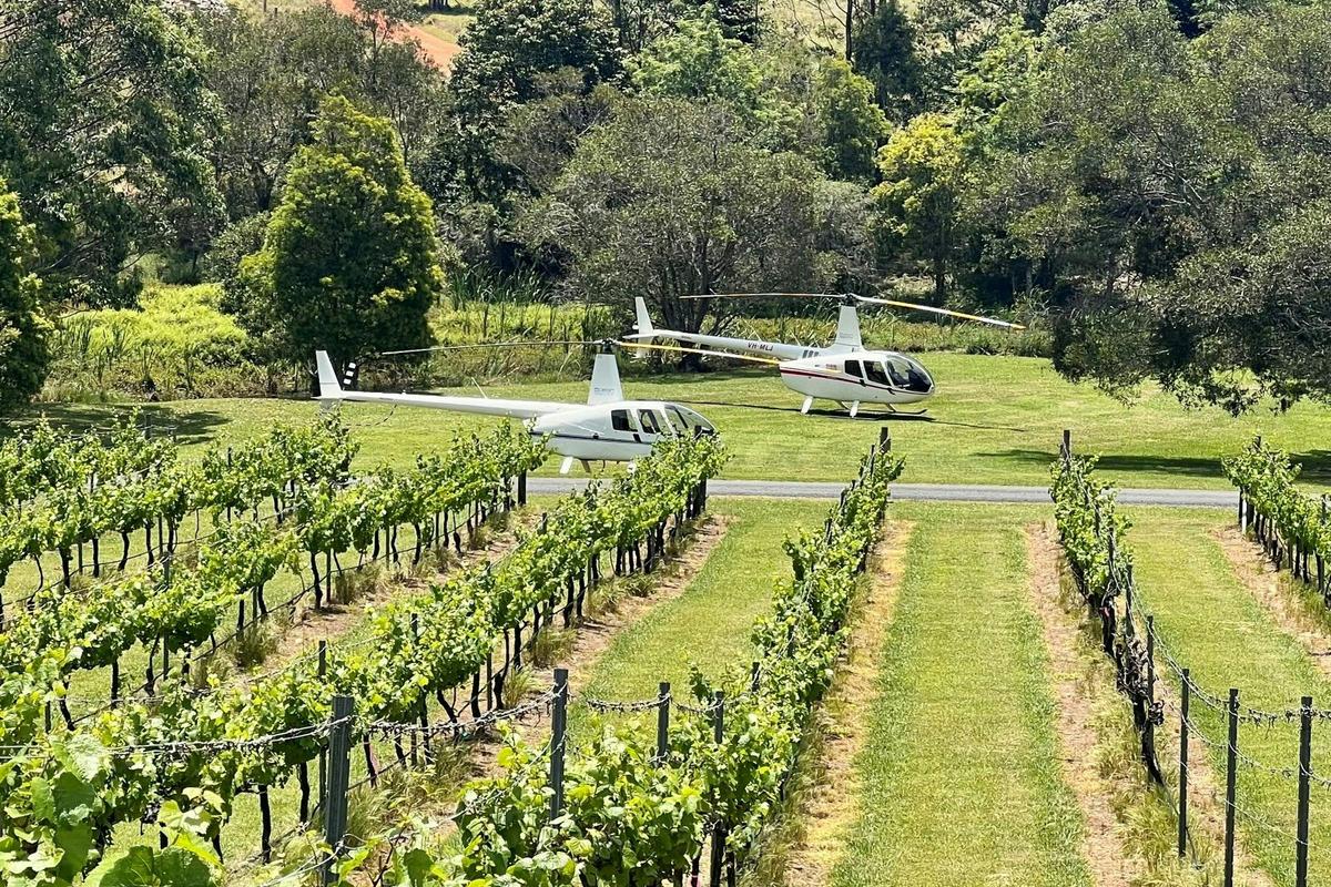 Fly n Dine Experience