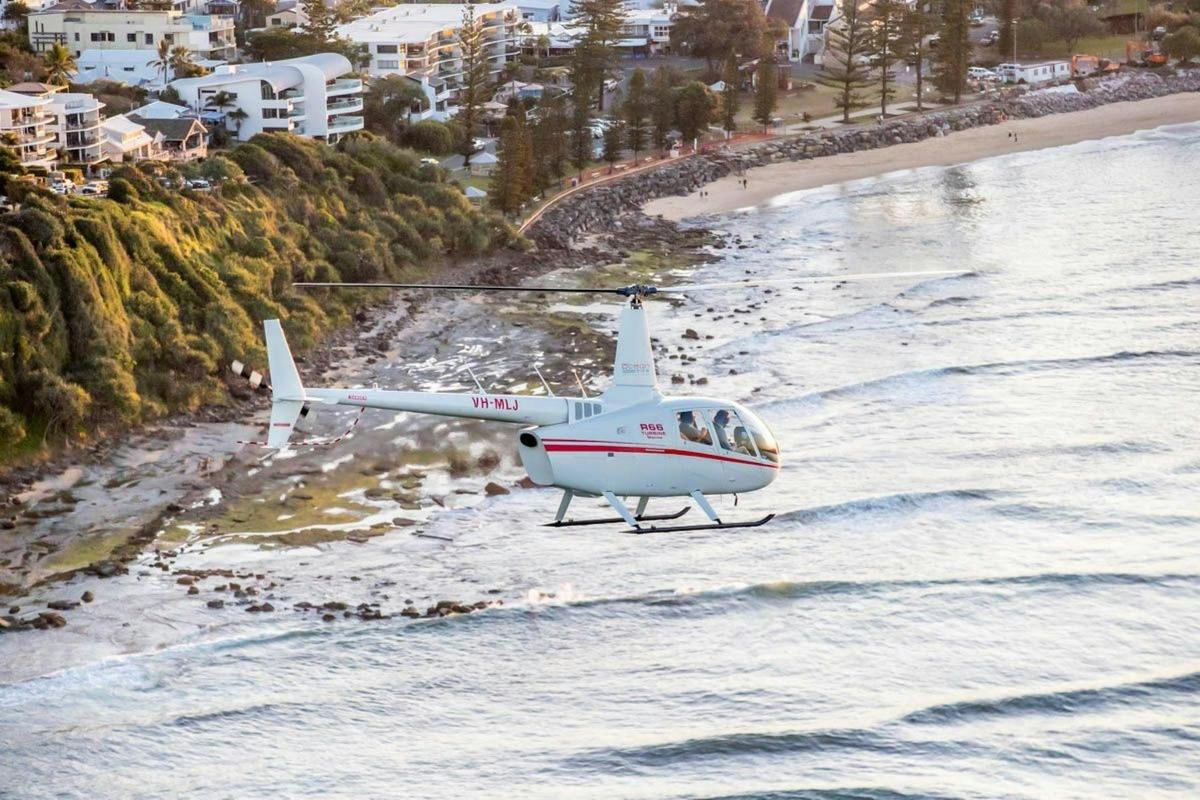 Sunny Coast Safari
