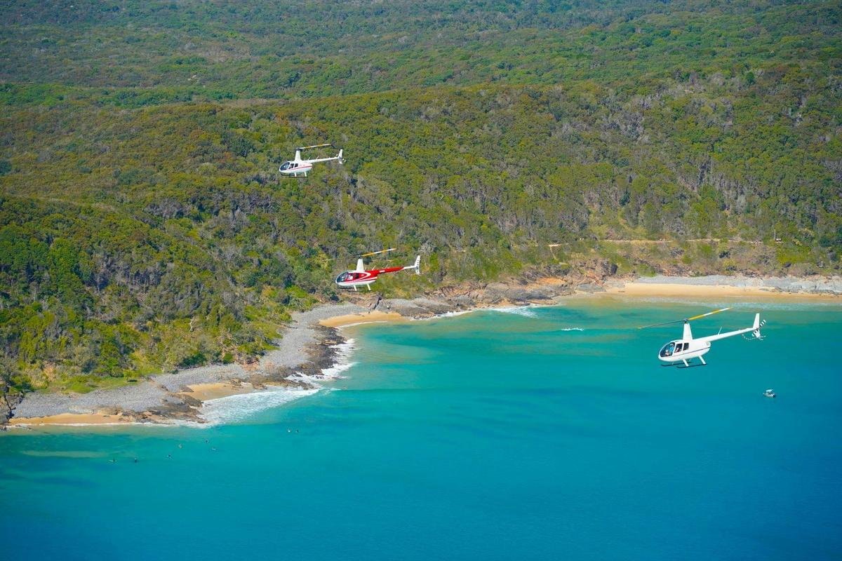 Sunny Coast Safari