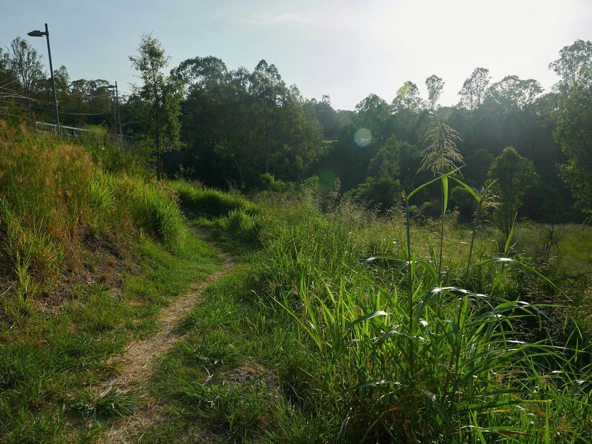 Mihi Junction Reserve