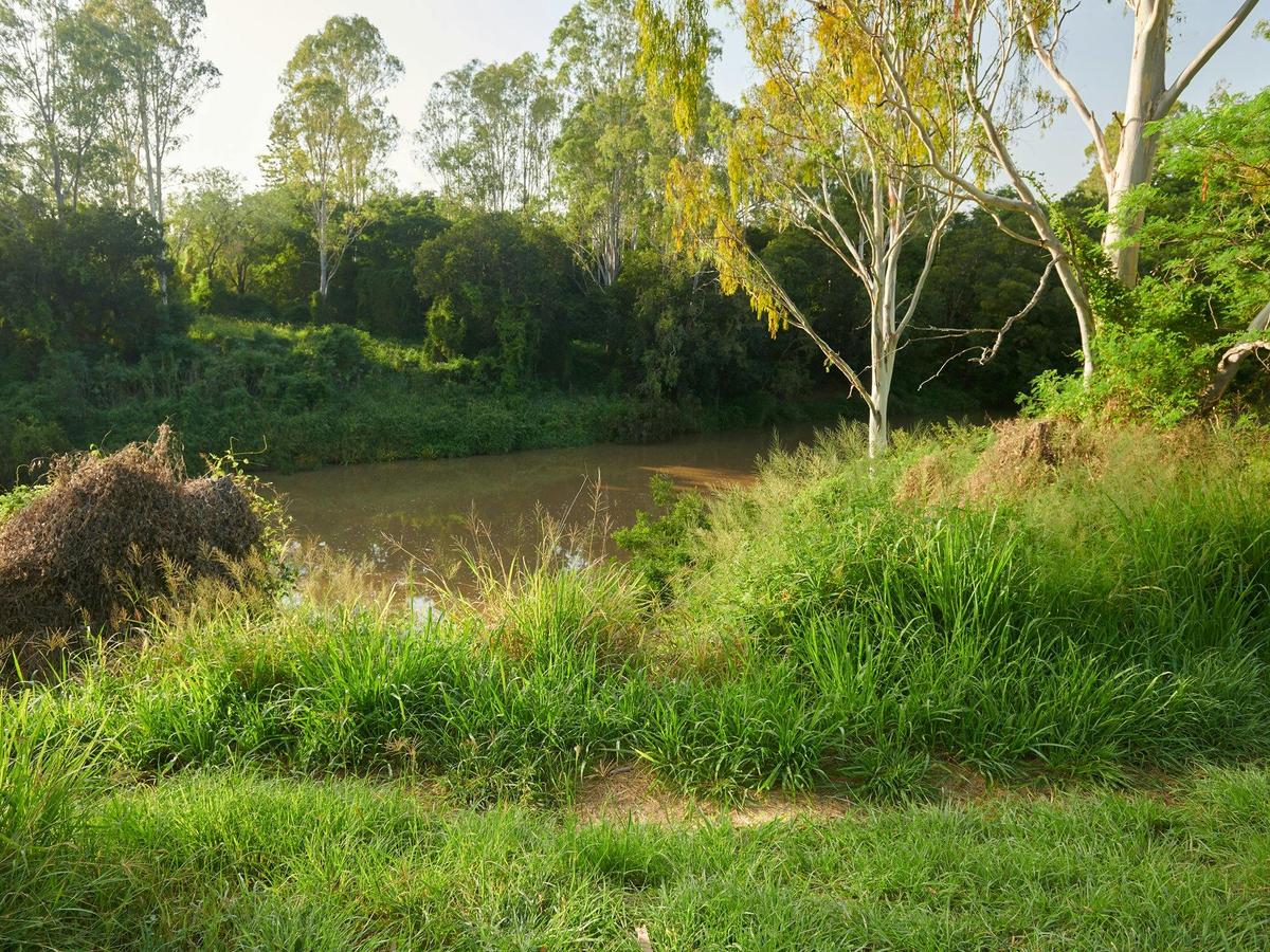 Mihi Junction Reserve
