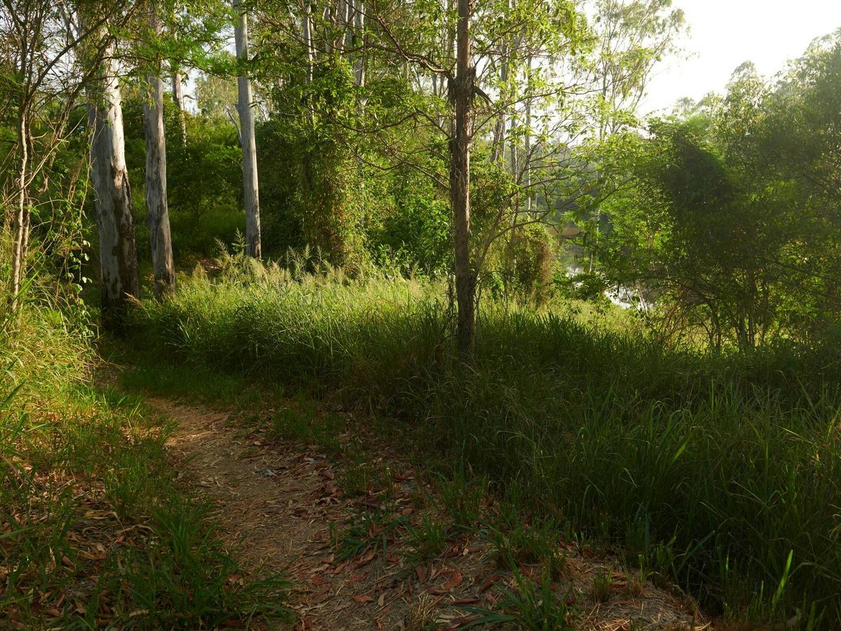 Mihi Junction Reserve