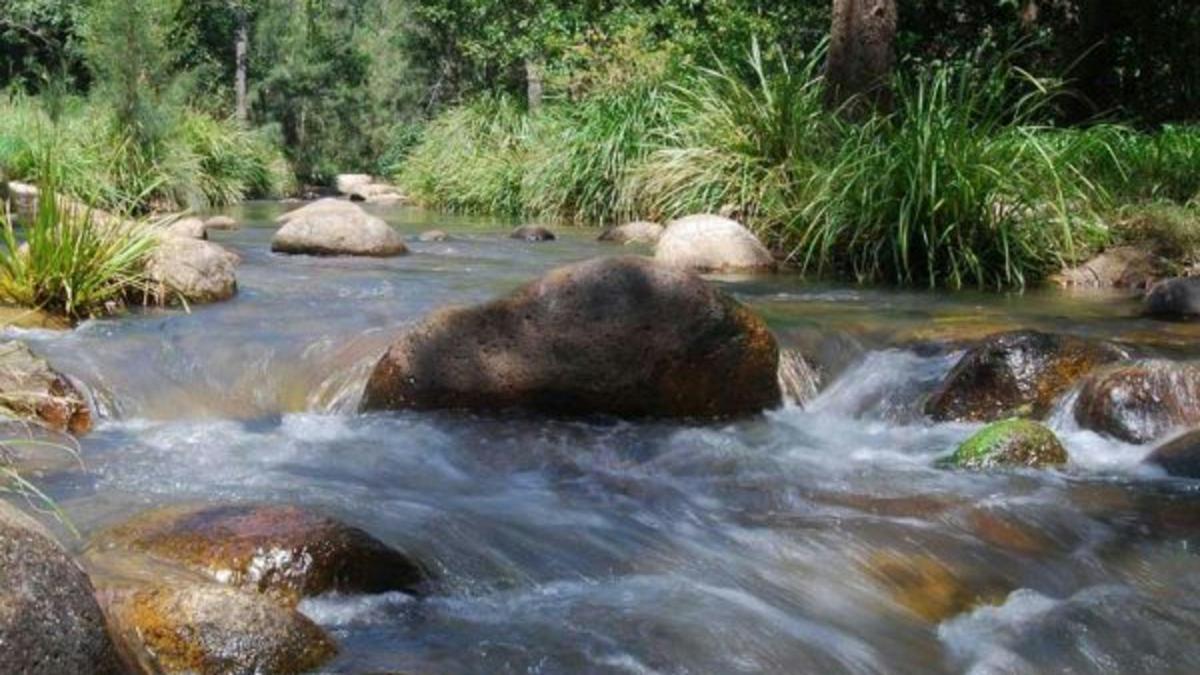 Mt Barney Lodge