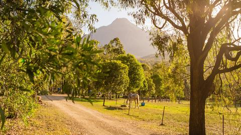 Mt Barney Lodge