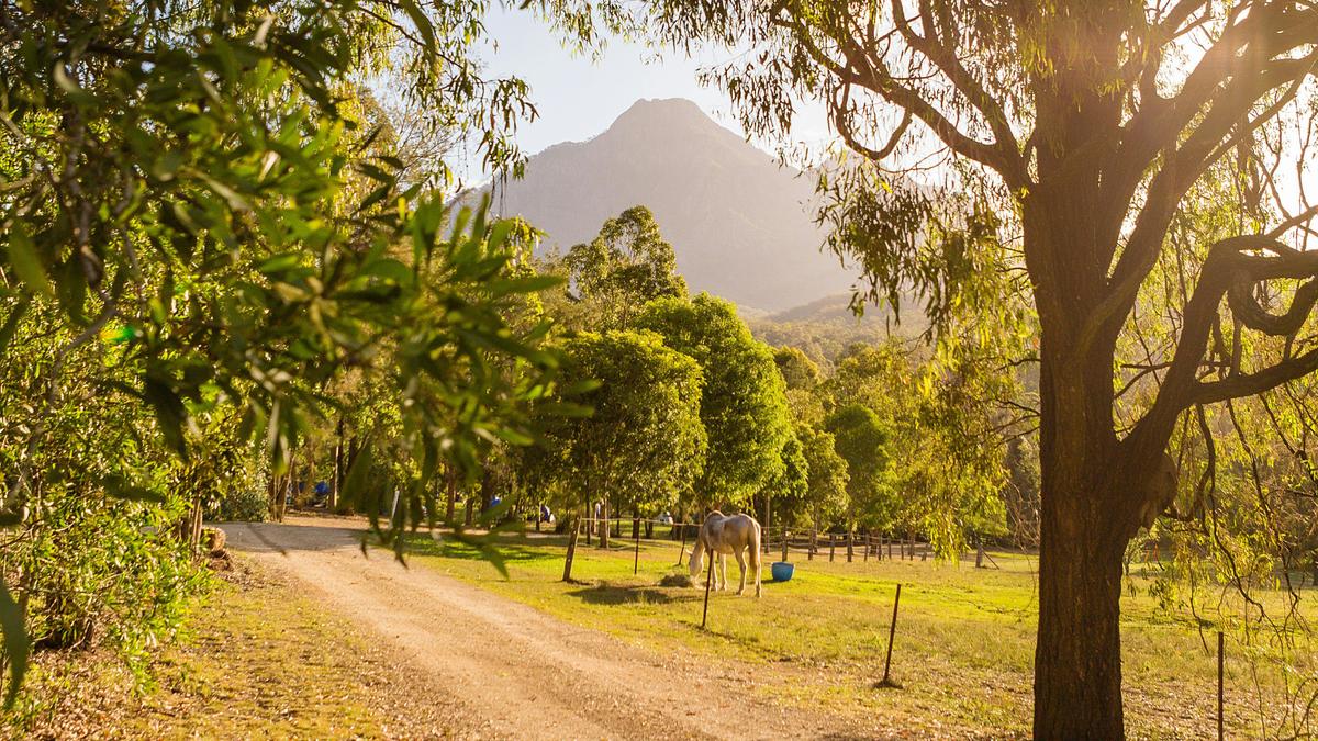 Mt Barney Lodge