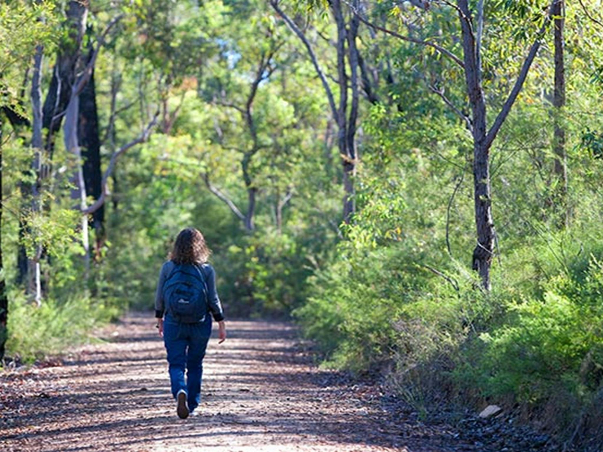Euroka - Nepean River walk, Blue Mountains National Park. Photo: Nick Cubbin &copy; OEH