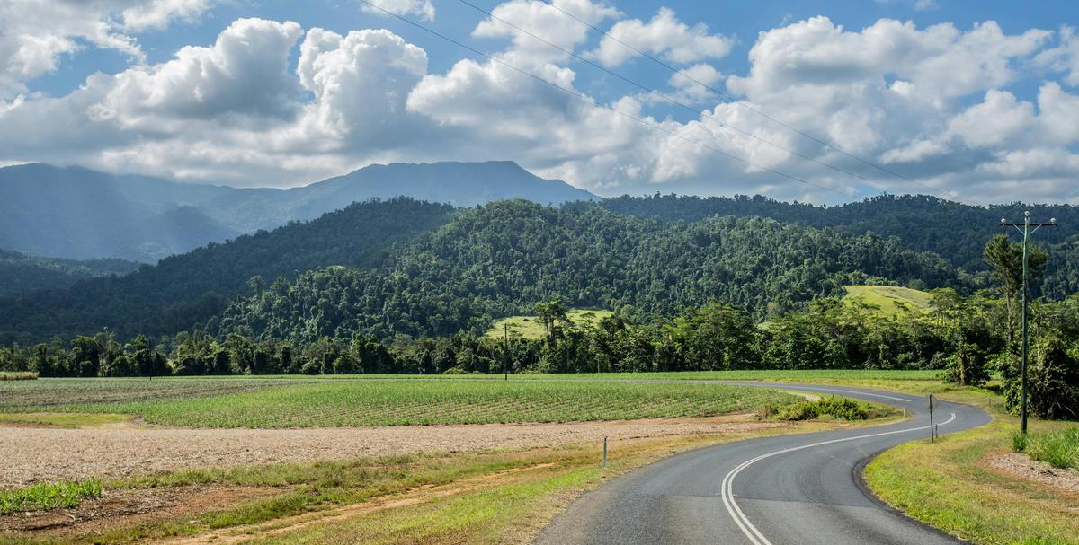 Mt. Bartle Frere