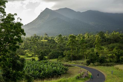 Mt. Bartle Frere