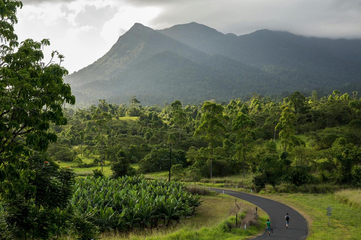 Mt. Bartle Frere